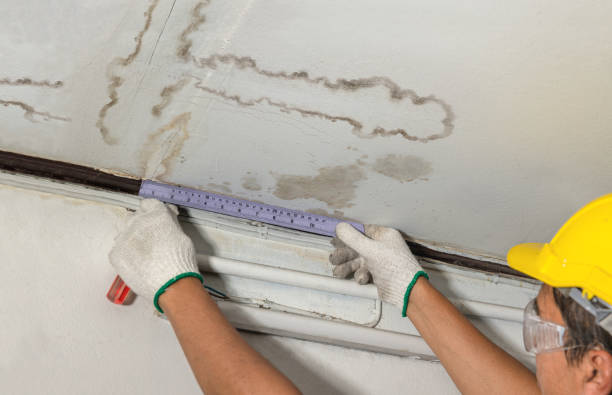 Reliable Mold Remediation contractor in Spring Branch, TX by Water Damage Irwin